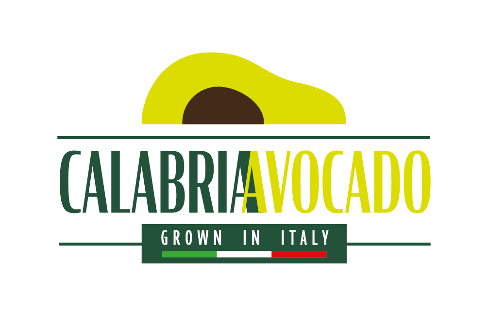 calabria avocado